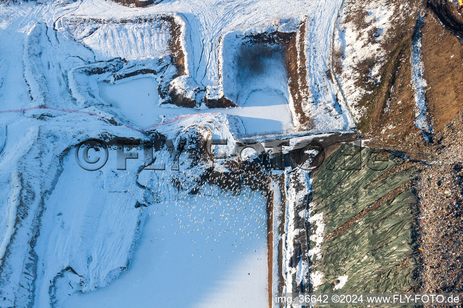 Luftbild von Winterlich schneebedeckte Gelände der aufgeschütteten Mülldeponie in Schaffhouse-pres-Seltz in Grand Est in Schaffhouse-près-Seltz im Bundesland Bas-Rhin, Frankreich