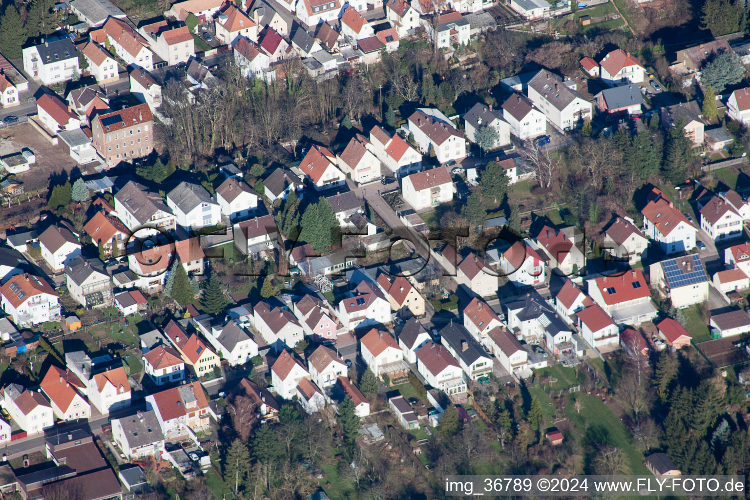 Drohnenbild von Lingenfeld im Bundesland Rheinland-Pfalz, Deutschland