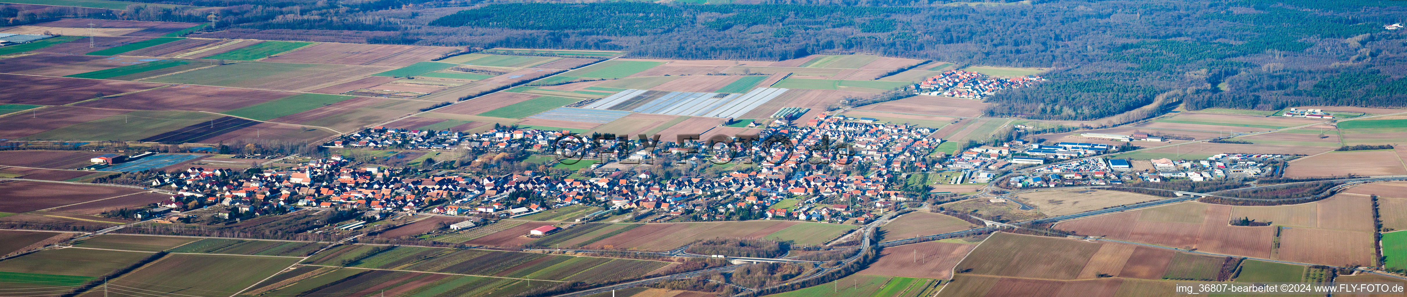 Panorama vom Ortsbereich und der Umgebung in Schwegenheim im Bundesland Rheinland-Pfalz, Deutschland