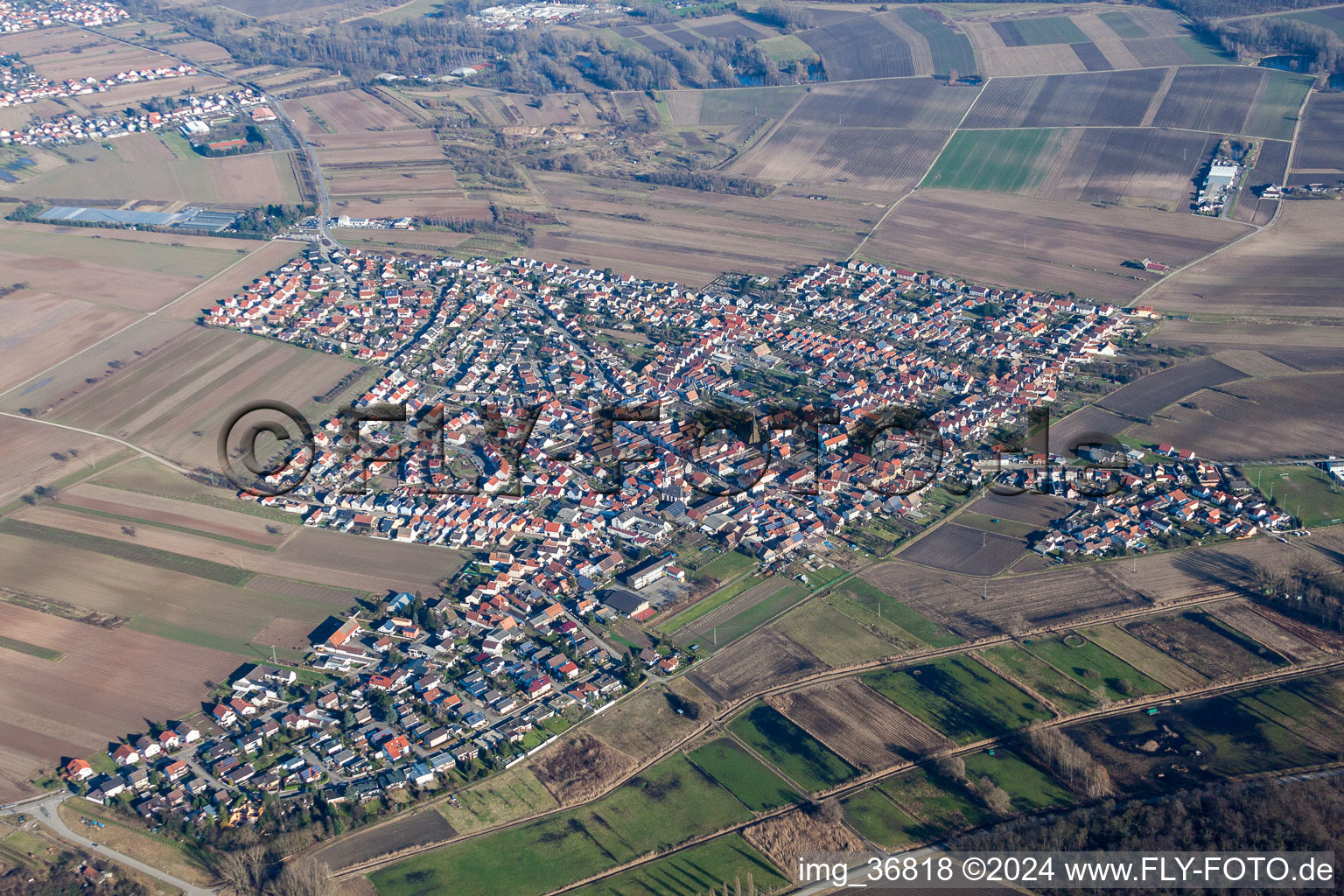 Luftbild von Ortsansicht der Straßen und Häuser der Wohngebiete im Ortsteil Mechtersheim in Römerberg im Bundesland Rheinland-Pfalz, Deutschland