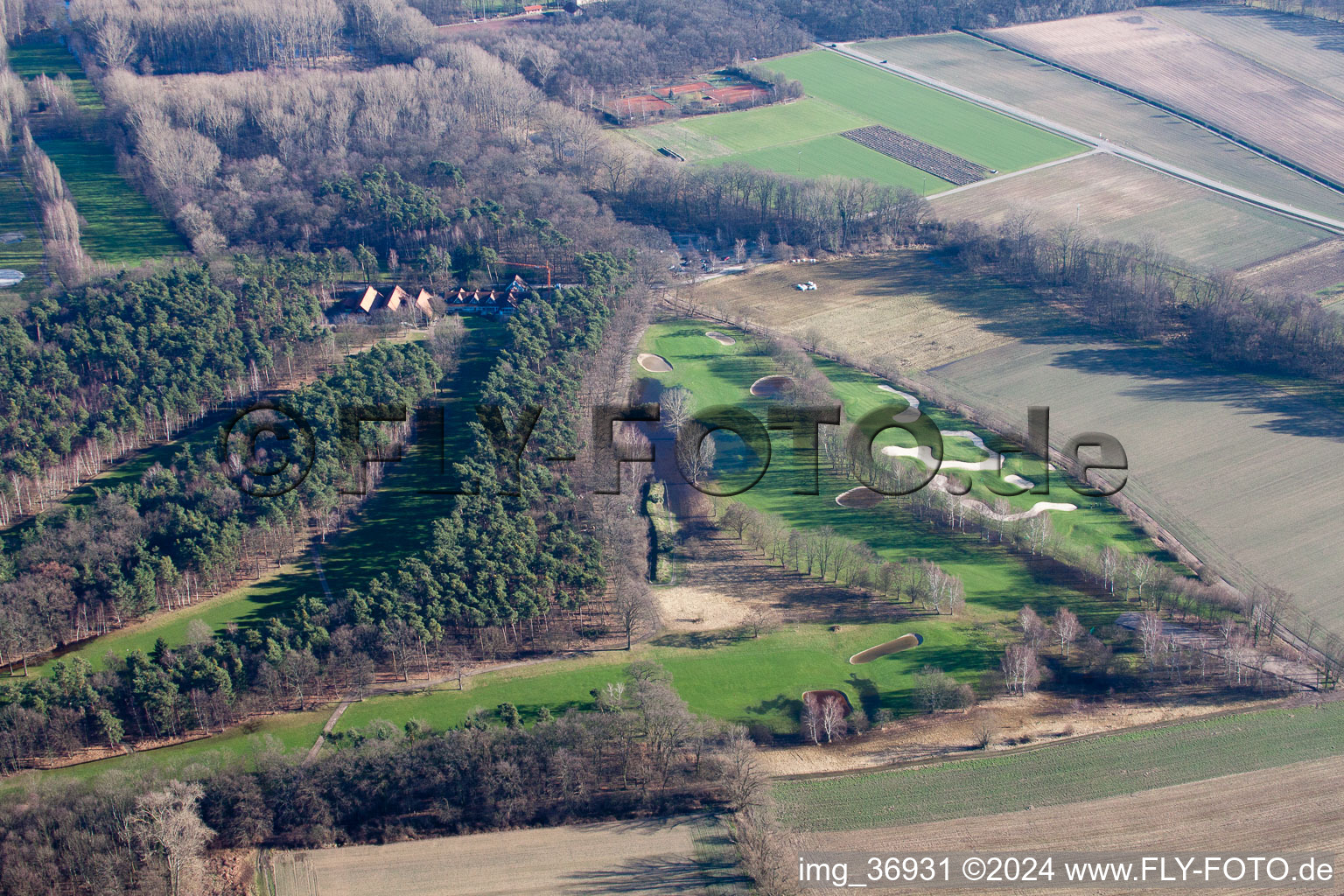 Golf-Club Pfalz Neustadt a.d. Weinstraße e.V in Geinsheim im Bundesland Rheinland-Pfalz, Deutschland aus der Luft betrachtet