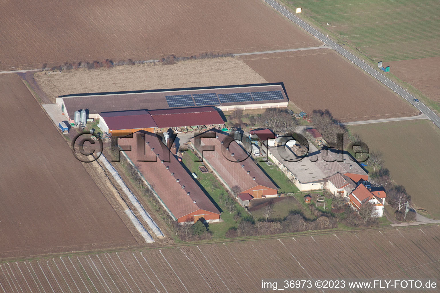 Drohnenbild von Zeiskam im Bundesland Rheinland-Pfalz, Deutschland