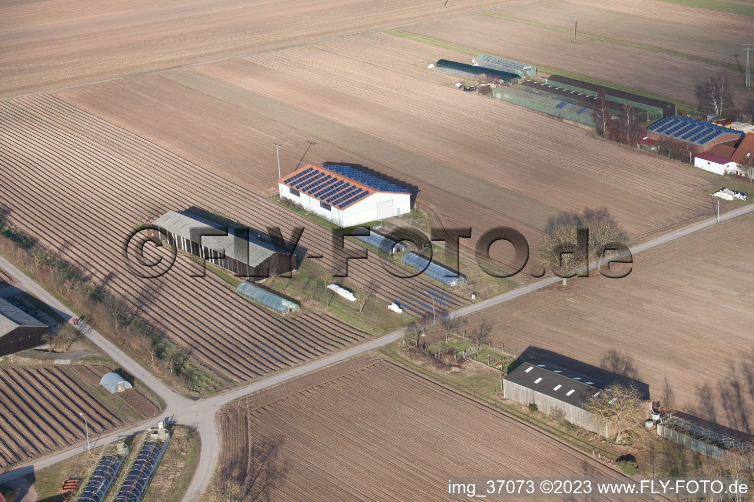Luftaufnahme von Hördt, Aussiedlerhöfe Richtung Rülzheim im Bundesland Rheinland-Pfalz, Deutschland