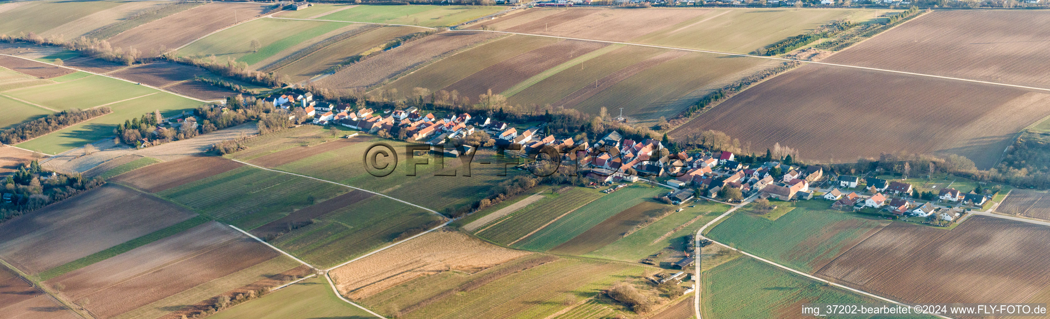 Panorama - Perspektive Dorf - Ansicht am Rande von landwirtschaftlichen Feldern und Nutzflächen in Vollmersweiler im Bundesland Rheinland-Pfalz, Deutschland