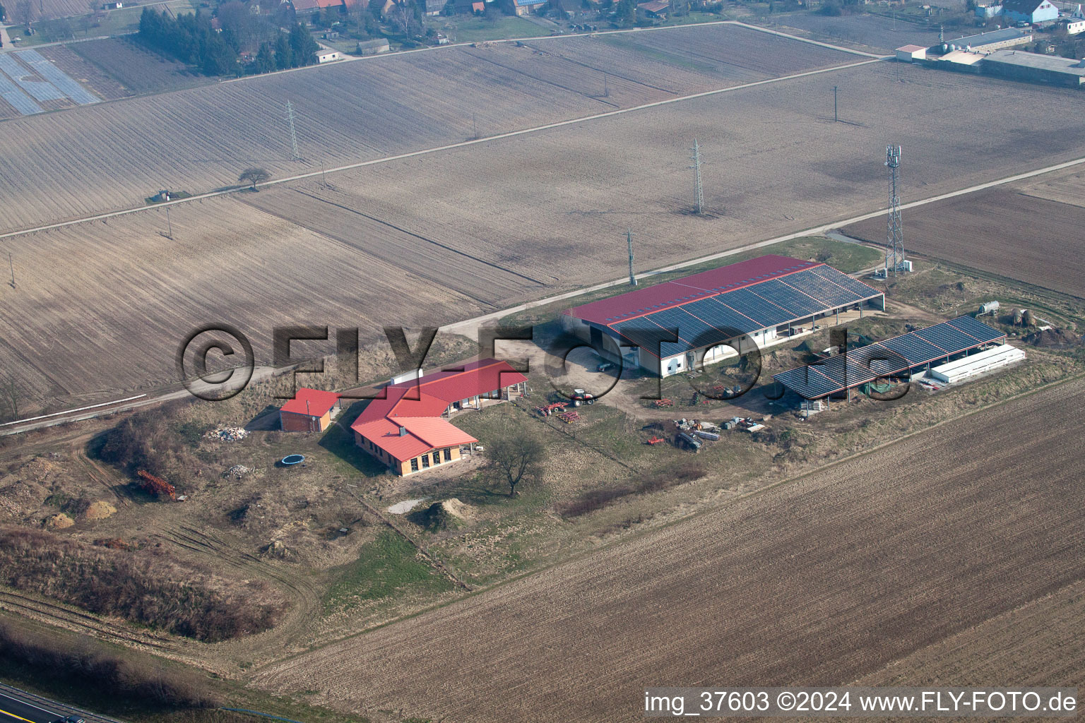 Schrägluftbild von Eierfarm in Erlenbach bei Kandel im Bundesland Rheinland-Pfalz, Deutschland