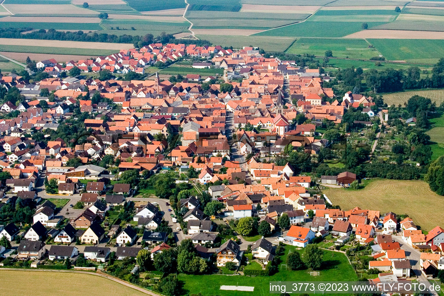 Luftbild von Steinweiler von Osten im Bundesland Rheinland-Pfalz, Deutschland