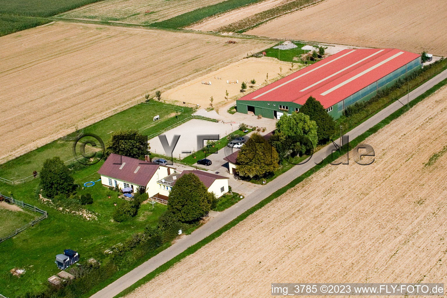Luftbild von Steinweiler, Pferdehof im Bundesland Rheinland-Pfalz, Deutschland
