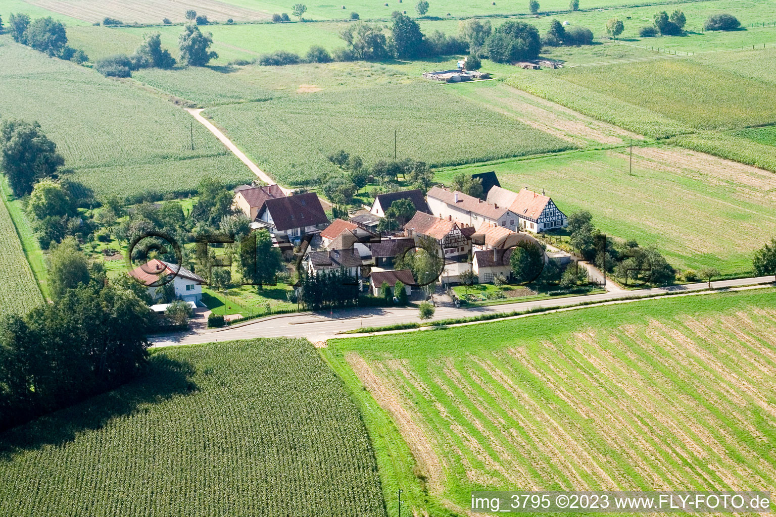 Luftbild von Minfeld, Welschhof im Bundesland Rheinland-Pfalz, Deutschland