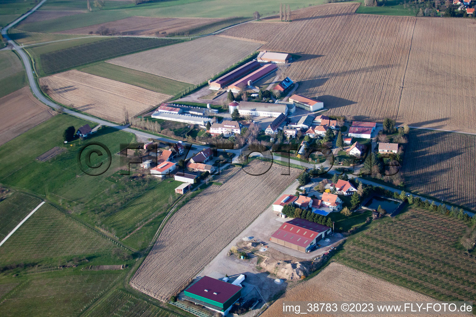Luftaufnahme von Steinseltz im Bundesland Bas-Rhin, Frankreich