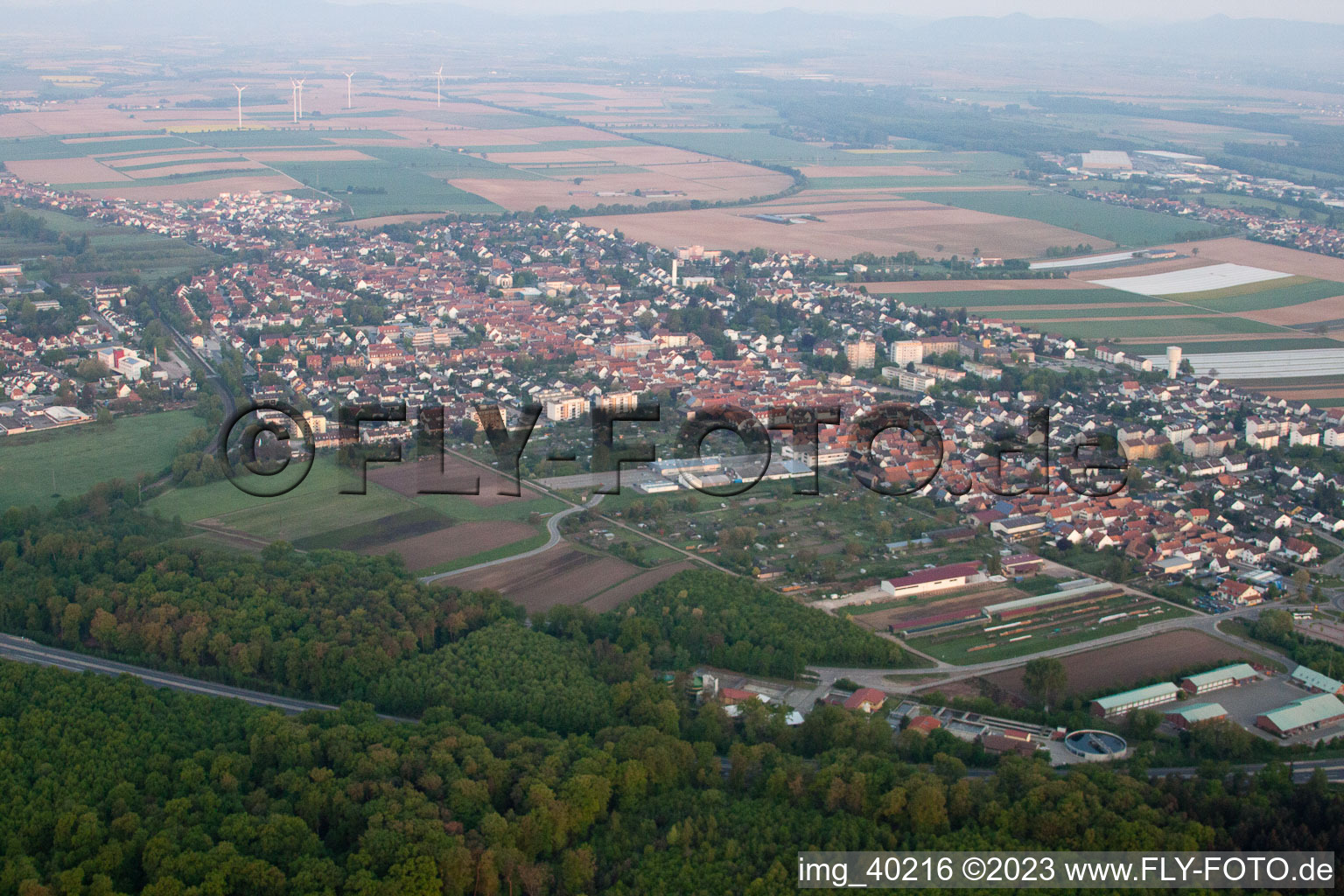 Kandel von Osten im Bundesland Rheinland-Pfalz, Deutschland vom Flugzeug aus