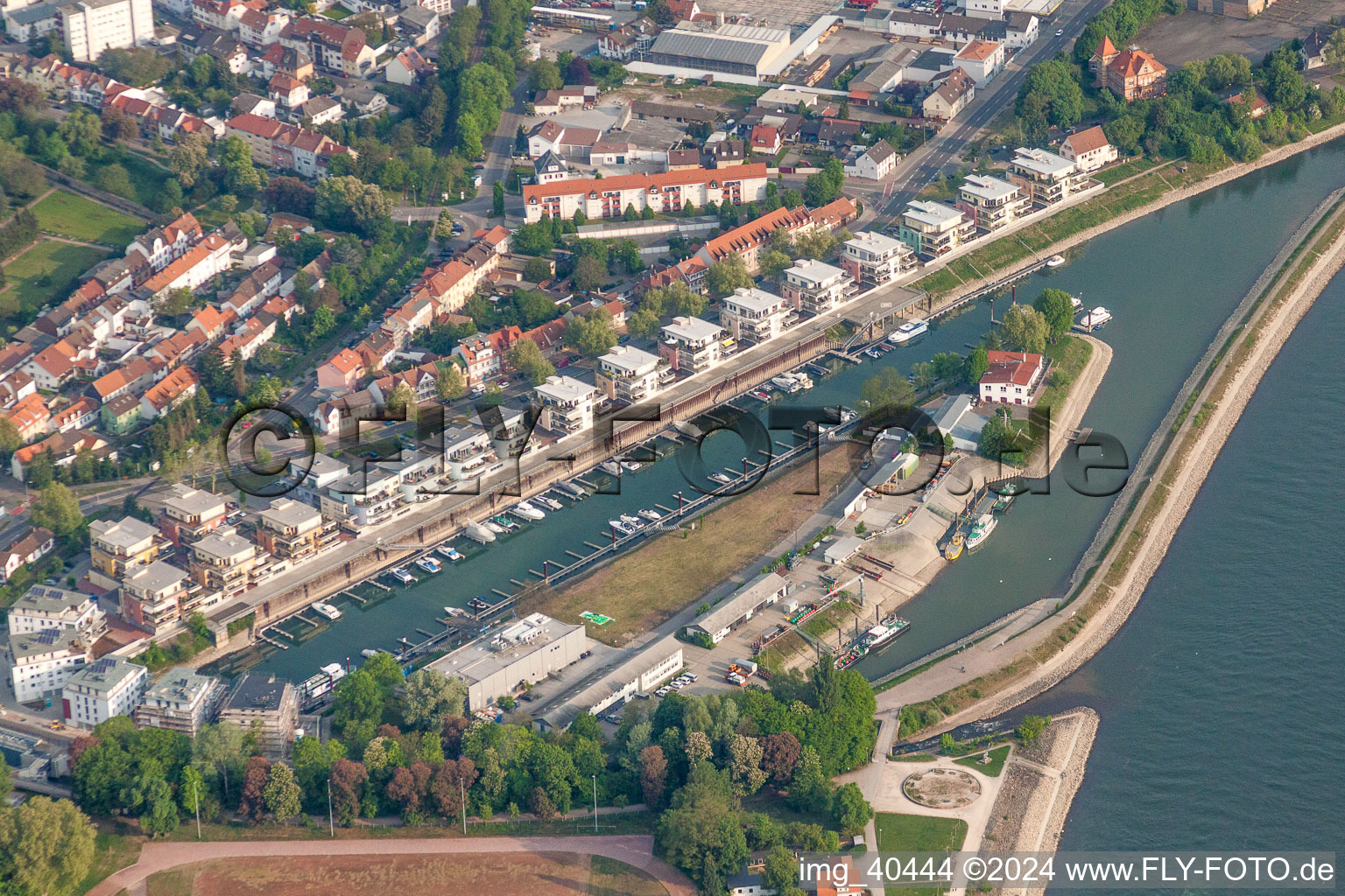 Luftaufnahme von Wohnbebauung am Ufer des ehemaligen Hafenbeckens am Rhein Hafenstraße gegenüber von Sea-Live in Speyer im Bundesland Rheinland-Pfalz, Deutschland