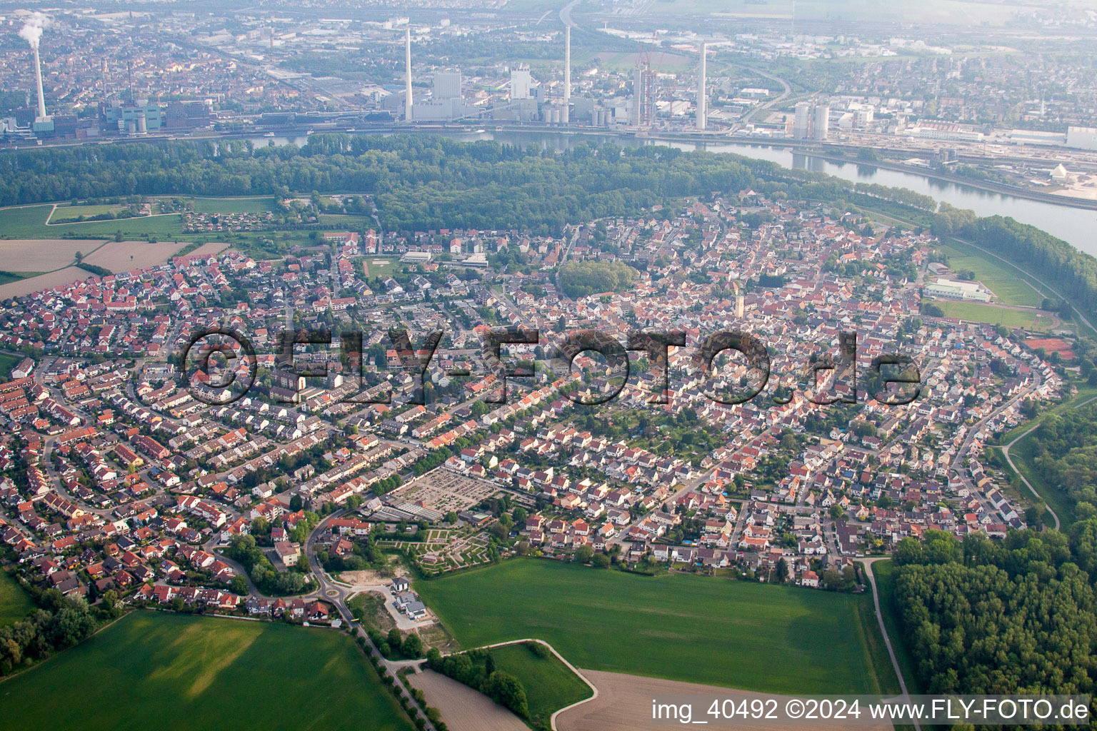 Ortsansicht der Straßen und Häuser der Wohngebiete in Altrip im Bundesland Rheinland-Pfalz, Deutschland aus der Luft