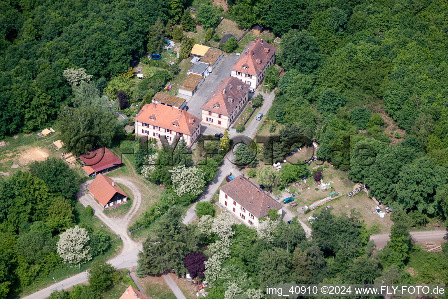 Scheibenhardt (Pfalz), Seufzerallee 4 im Bundesland Rheinland-Pfalz, Deutschland aus der Drohnenperspektive