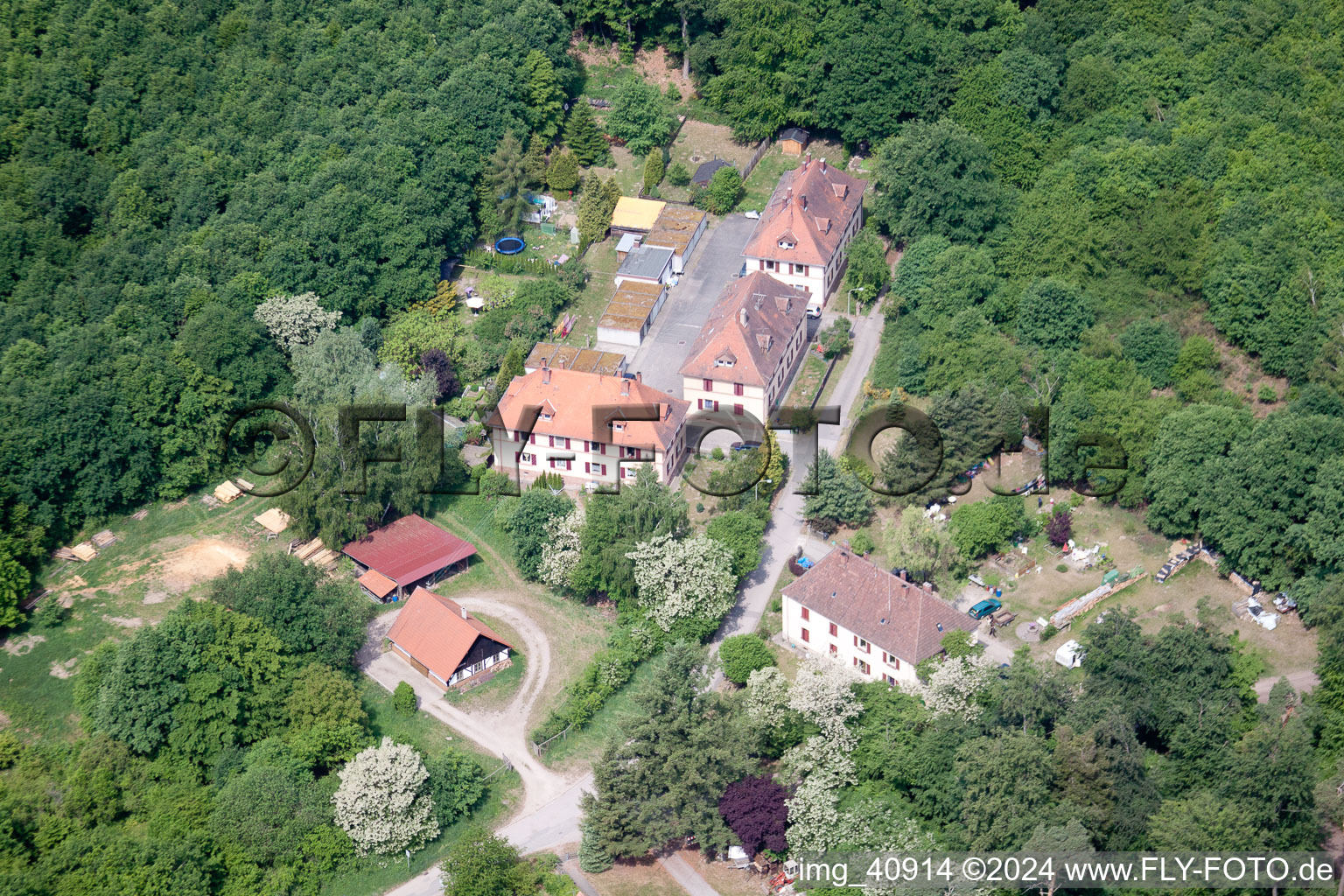 Scheibenhardt (Pfalz), Seufzerallee 4 im Bundesland Rheinland-Pfalz, Deutschland von einer Drohne aus