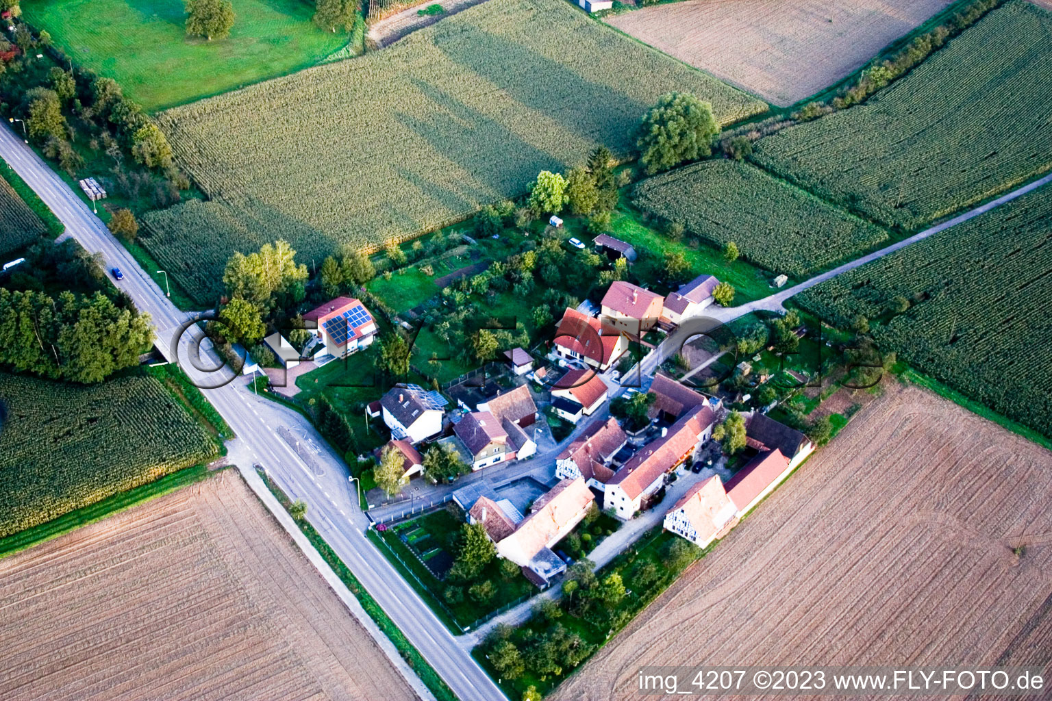 Luftaufnahme von Minfeld, Welschhof im Bundesland Rheinland-Pfalz, Deutschland