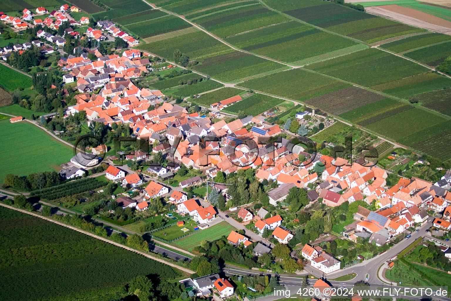 Luftbild von Dorf - Ansicht am Rande von Weinbergen in Niederhorbach im Bundesland Rheinland-Pfalz, Deutschland