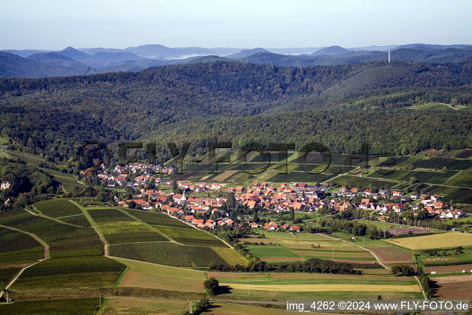 Dorf - Ansicht am Rande von landwirtschaftlichen Feldern und Nutzflächen im Ortsteil Pleisweiler in Pleisweiler-Oberhofen im Bundesland Rheinland-Pfalz, Deutschland