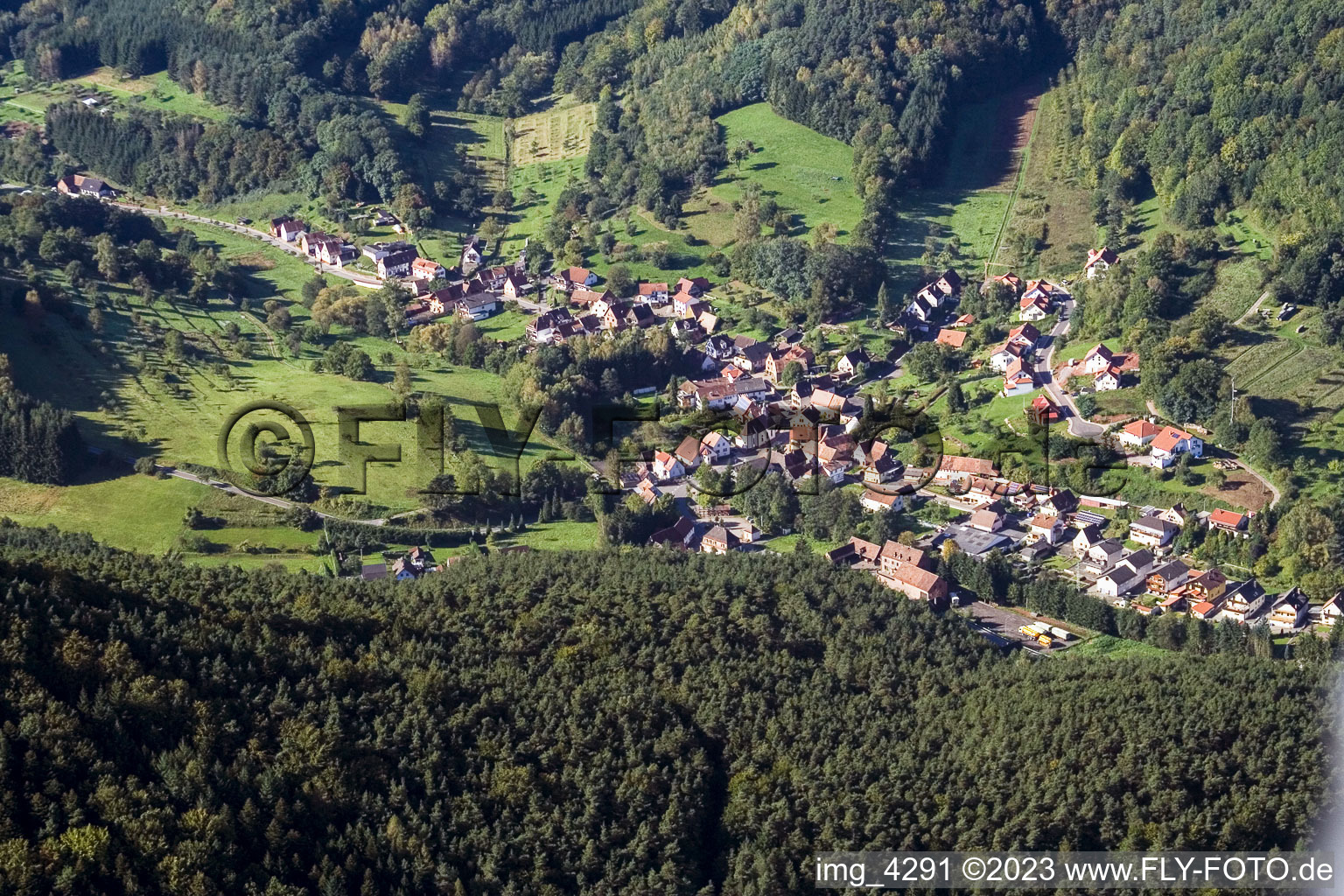 Erlenbach bei Dahn im Bundesland Rheinland-Pfalz, Deutschland von einer Drohne aus