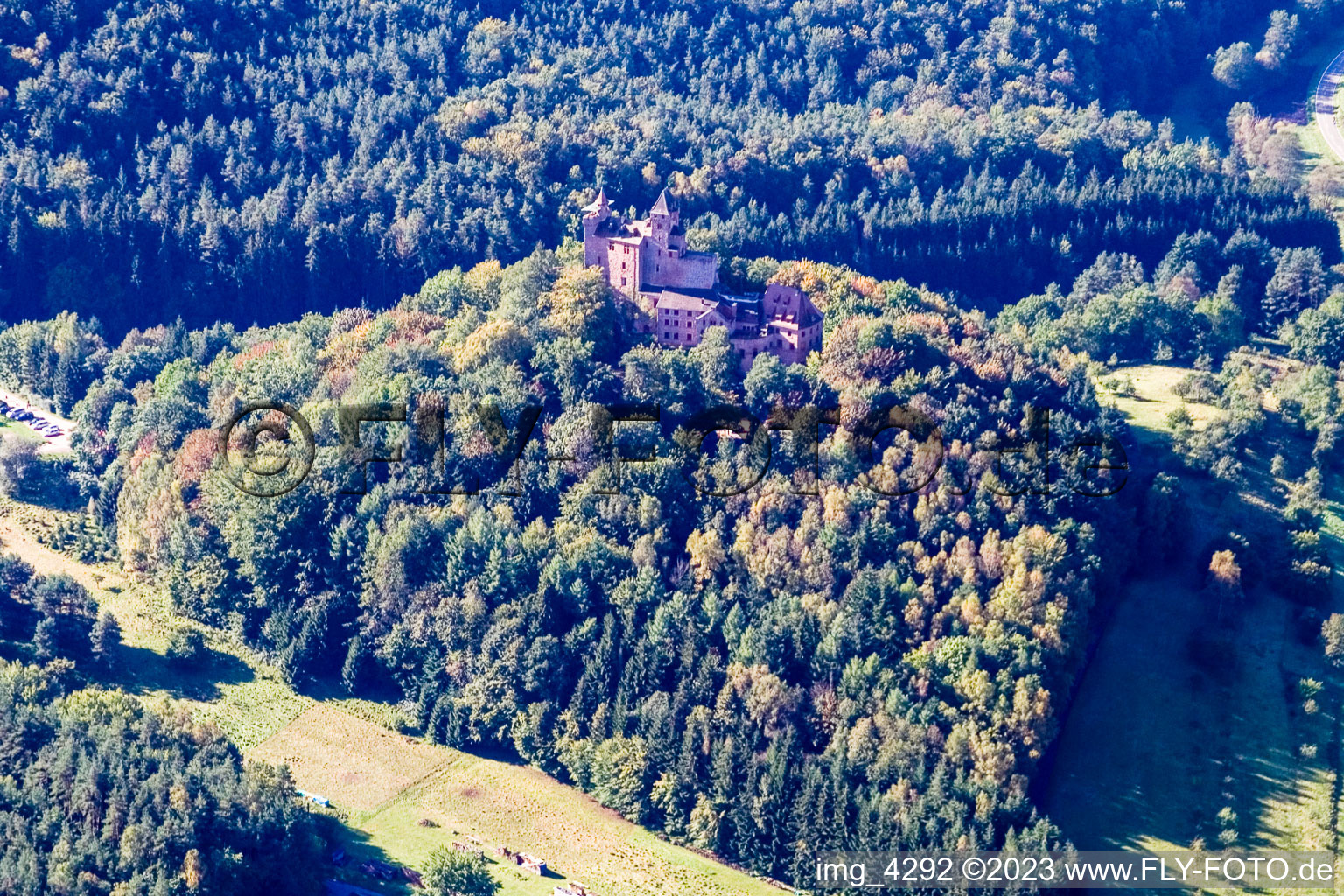 Erlenbach bei Dahn, Burg Berwartstein im Bundesland Rheinland-Pfalz, Deutschland von oben