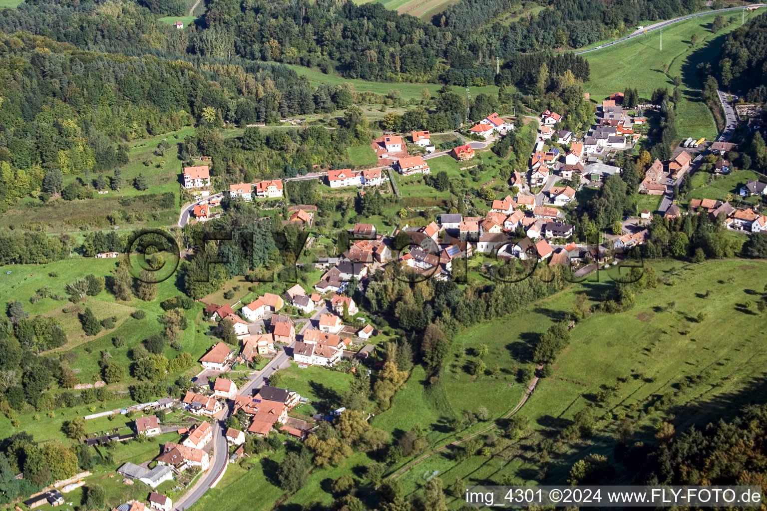 Dorf - Ansicht am Rande von landwirtschaftlichen Feldern und Nutzflächen in Erlenbach bei Dahn im Bundesland Rheinland-Pfalz, Deutschland