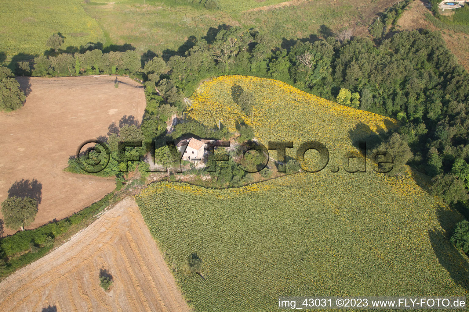 Luftbild von Fratte Rosa im Bundesland The Marches, Italien