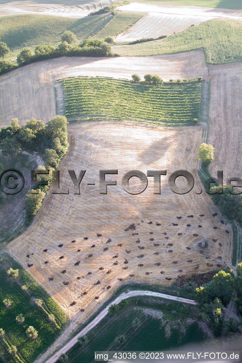 Isola di Fano im Bundesland The Marches, Italien aus der Drohnenperspektive