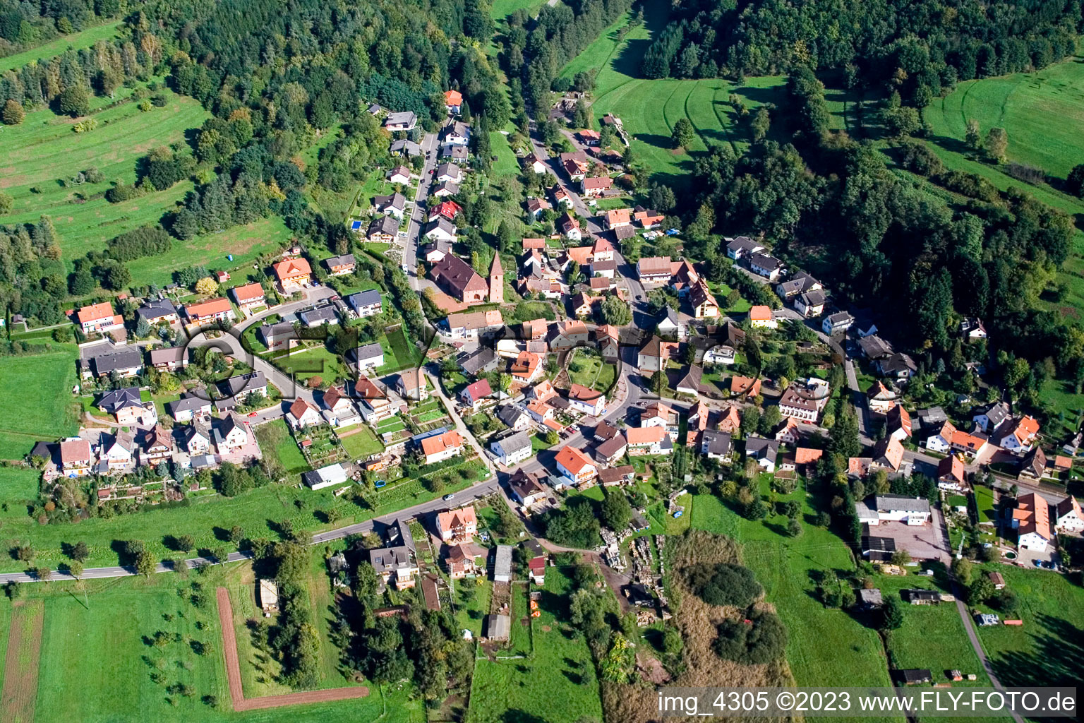 Niederschlettenbach im Bundesland Rheinland-Pfalz, Deutschland von oben gesehen