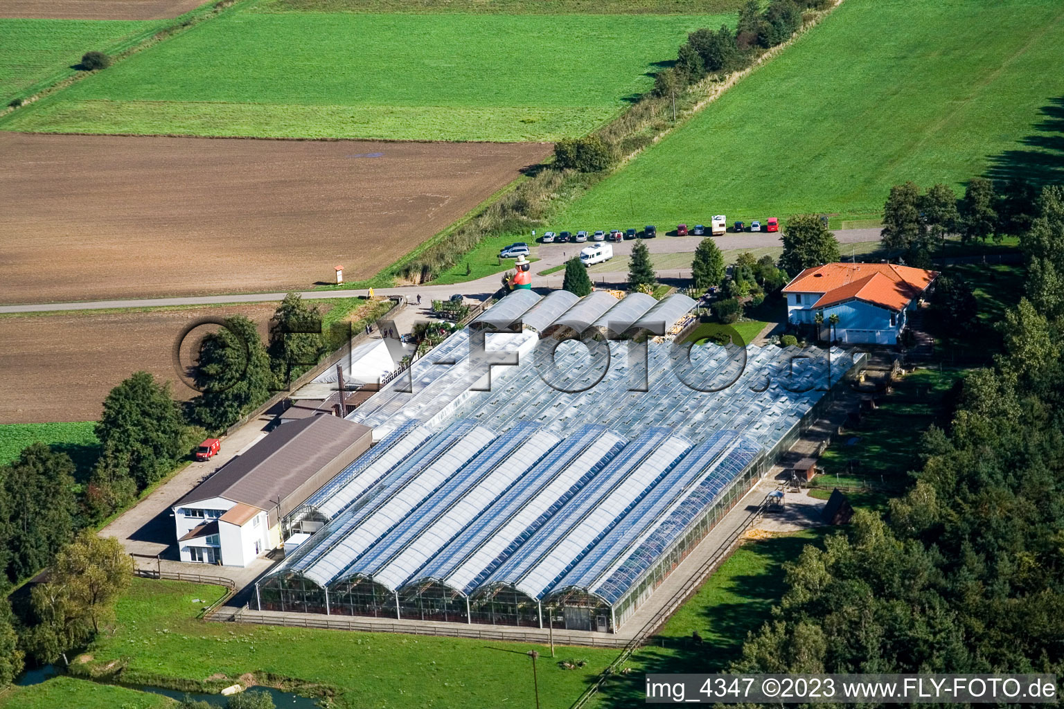Luftbild von Steinfeld, Kakteenland im Bundesland Rheinland-Pfalz, Deutschland