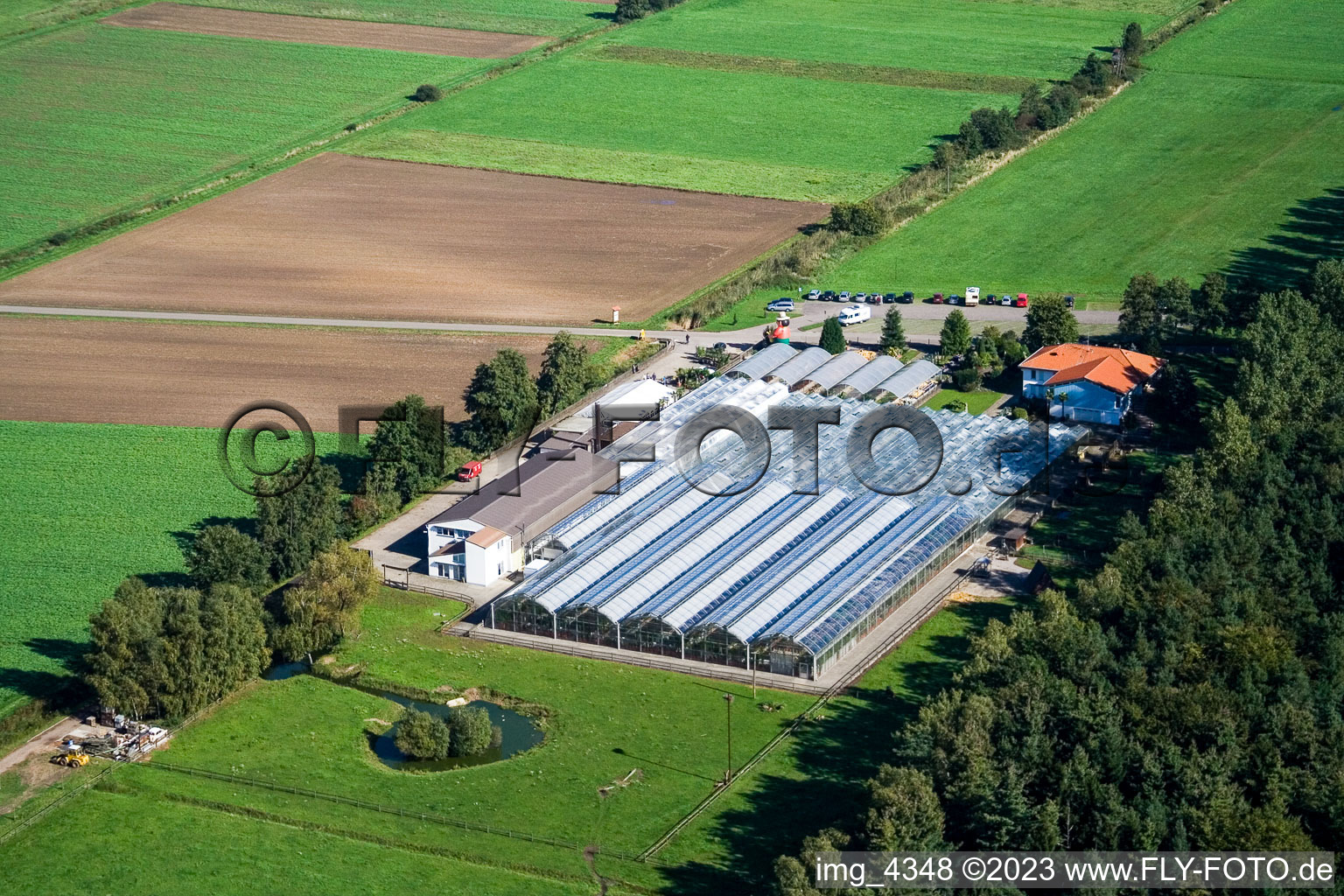 Luftaufnahme von Steinfeld, Kakteenland im Bundesland Rheinland-Pfalz, Deutschland