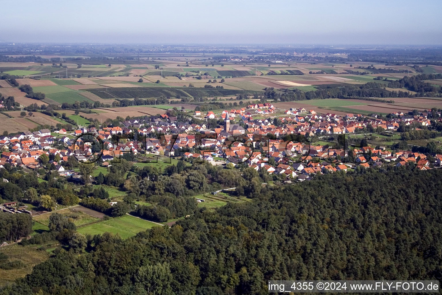 Dorf - Ansicht am Rande von landwirtschaftlichen Feldern und Nutzflächen im Ortsteil Schaidt in Wörth am Rhein im Bundesland Rheinland-Pfalz, Deutschland