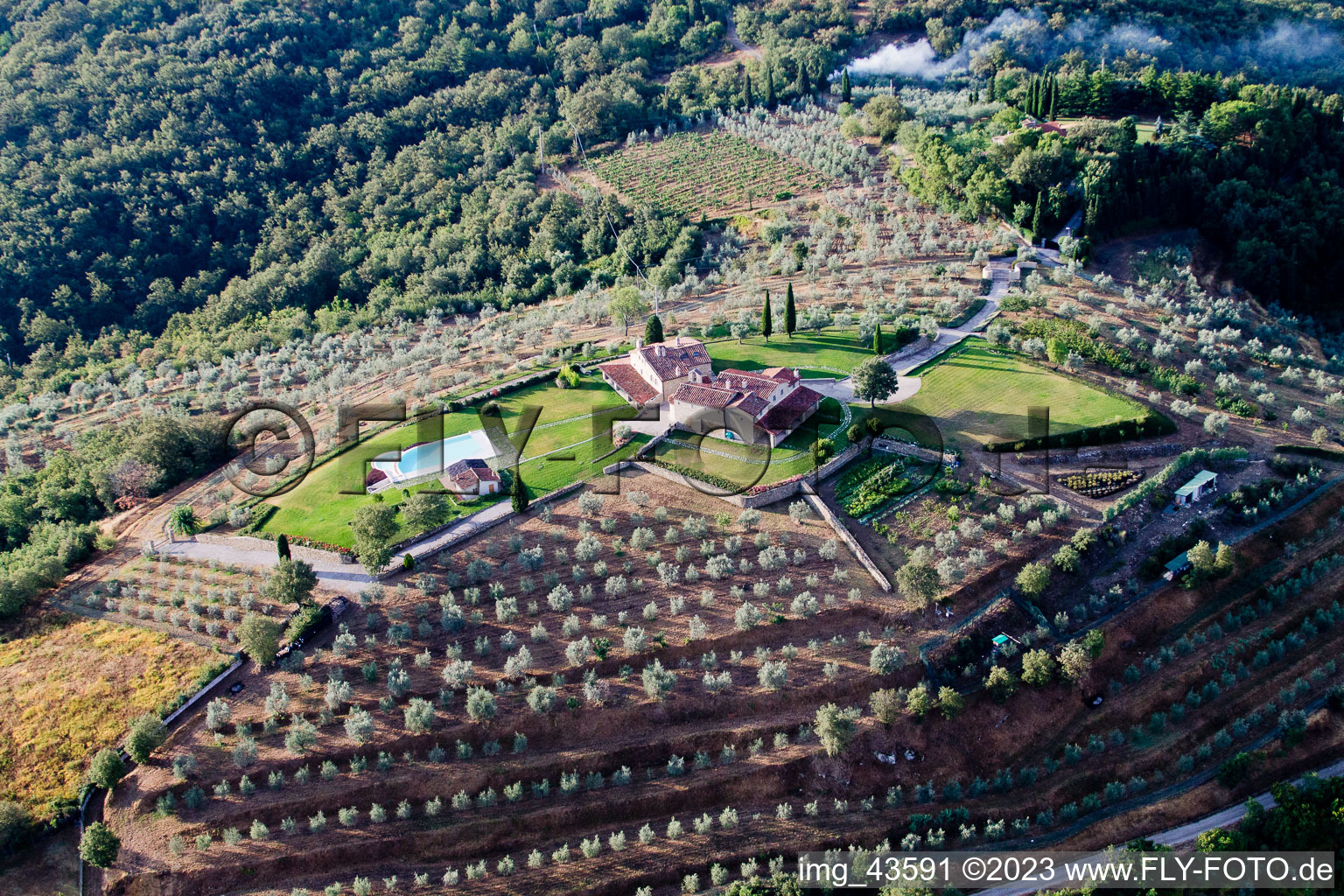 Luftbild von Il Bastardo im Bundesland Toscana, Italien