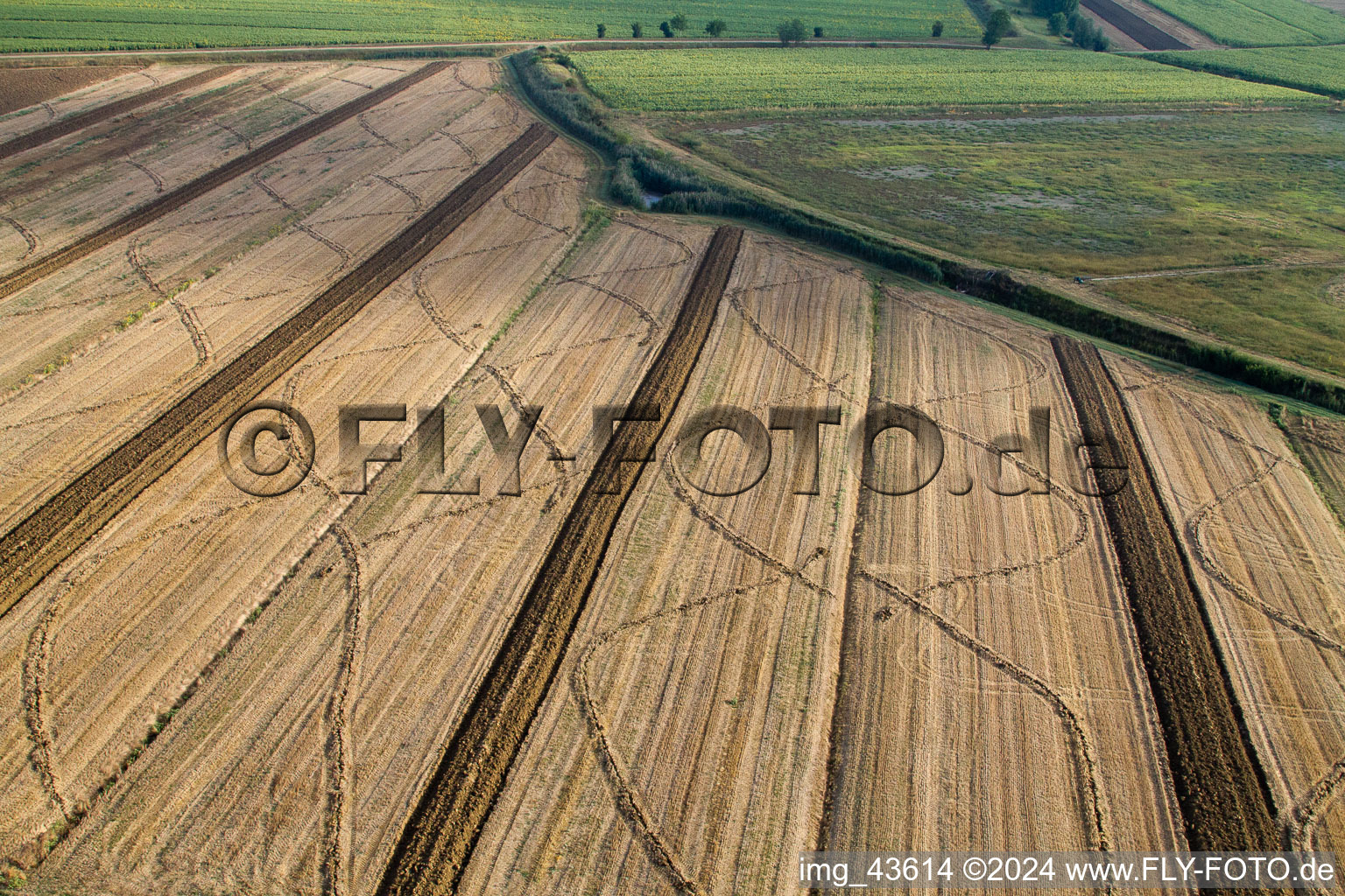 Abgeerntete Kornfeld-Strukturen Landschaft auf einem Getreidefeld in Anatraia in Toscana, Italien