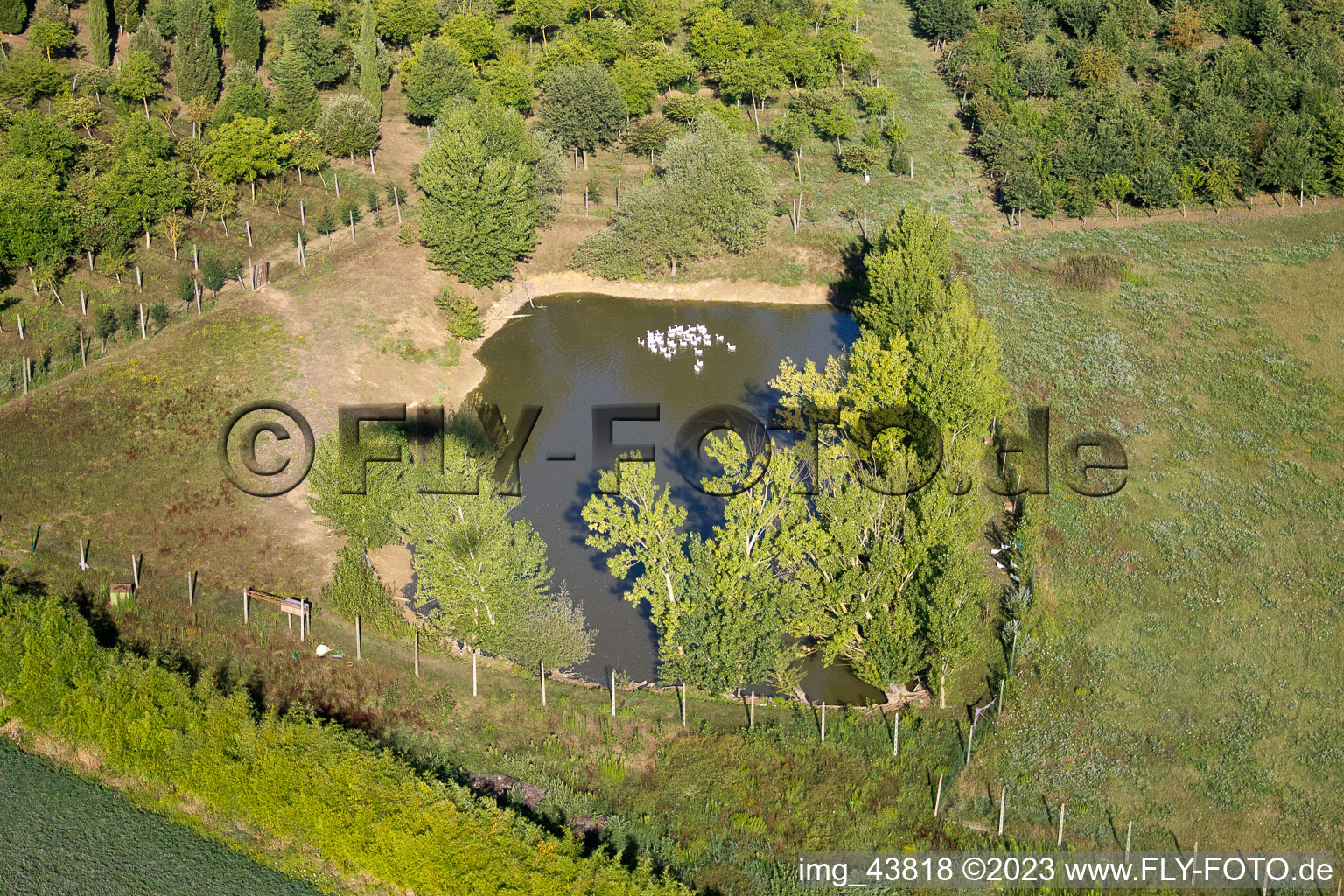 Luftaufnahme von Creti im Bundesland Toscana, Italien
