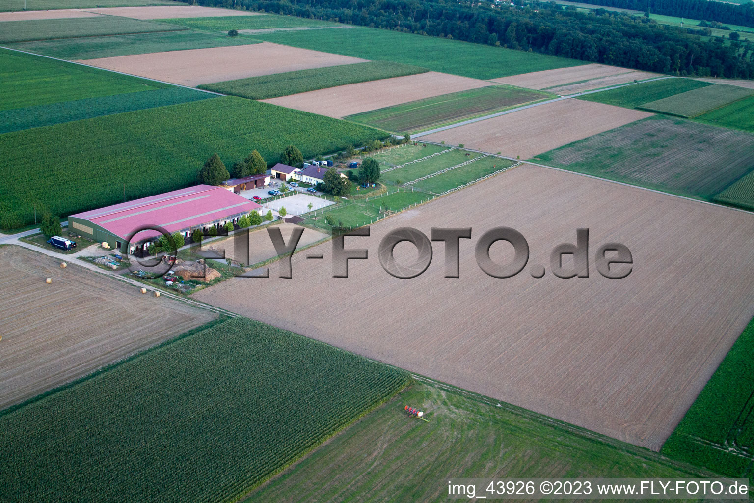 Steinweiler, Fohlenhof im Bundesland Rheinland-Pfalz, Deutschland aus der Vogelperspektive