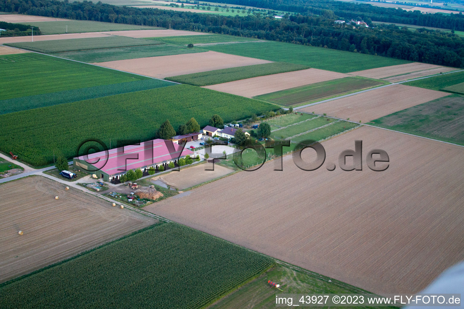 Steinweiler, Fohlenhof im Bundesland Rheinland-Pfalz, Deutschland aus der Luft betrachtet
