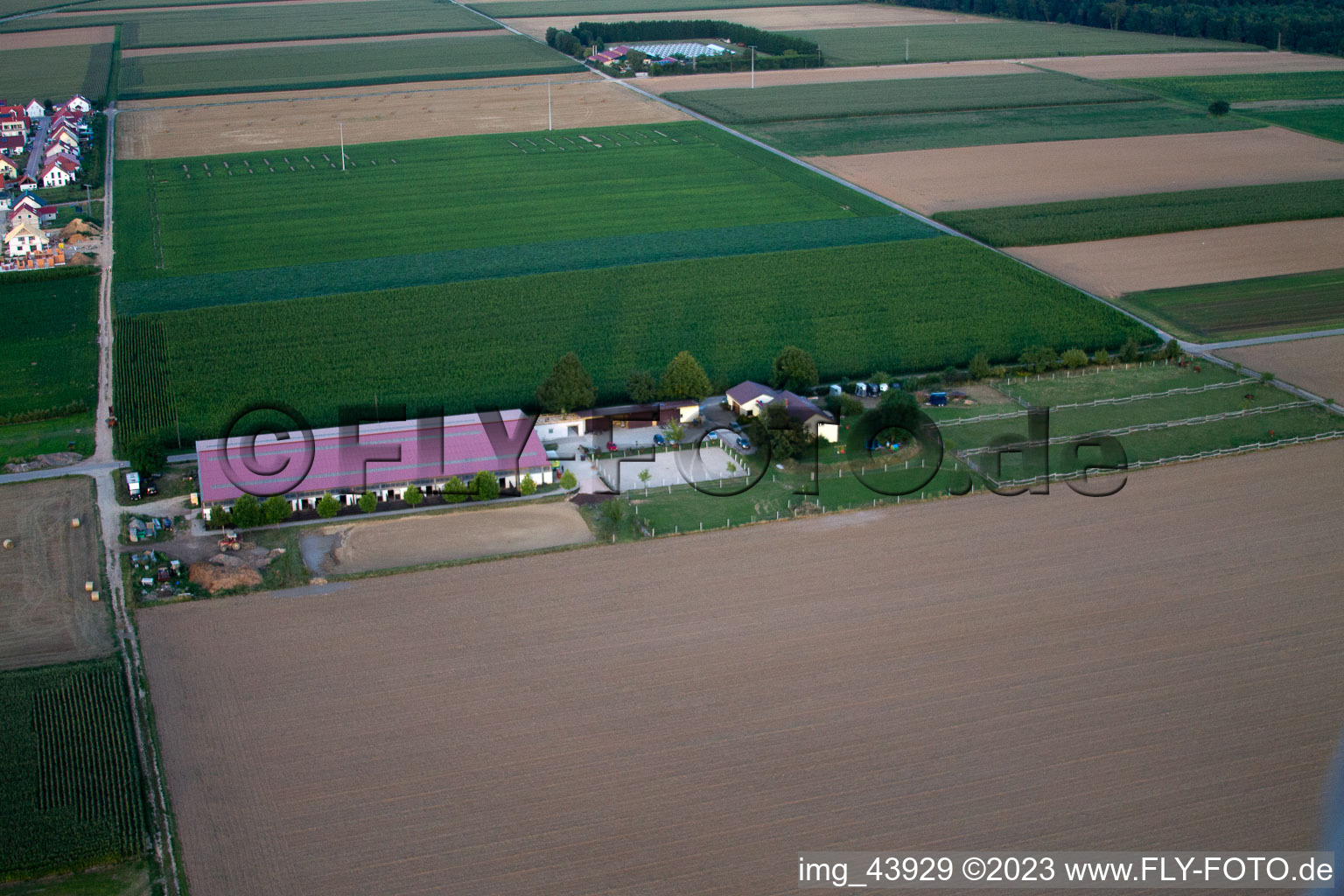Drohnenbild von Steinweiler, Fohlenhof im Bundesland Rheinland-Pfalz, Deutschland