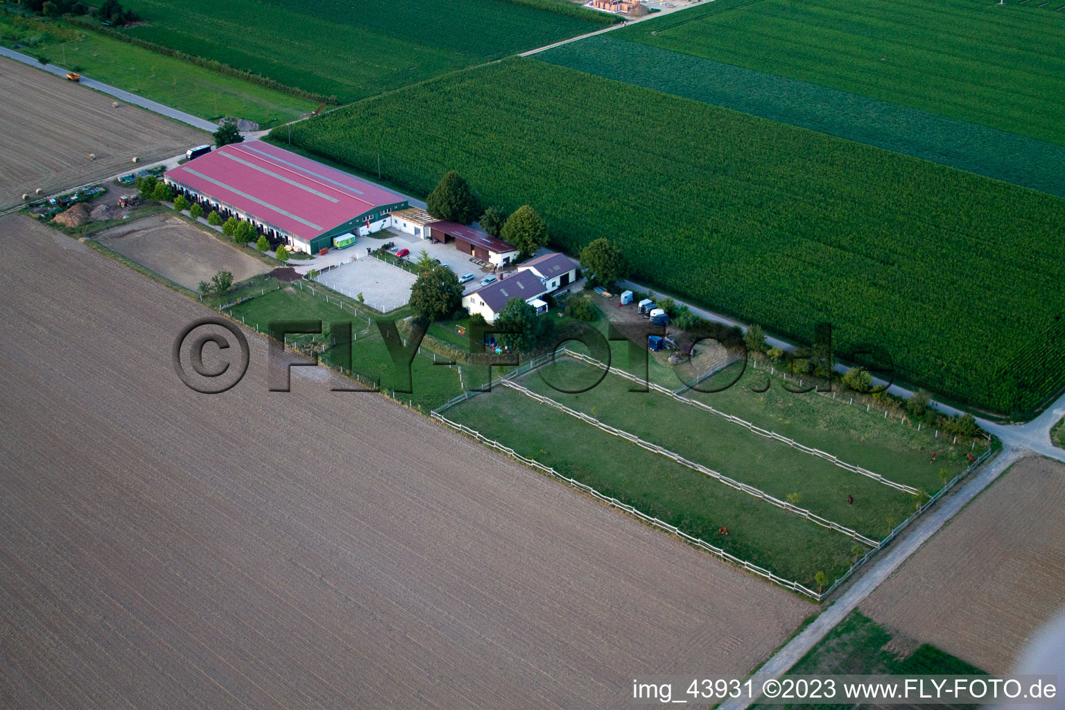 Steinweiler, Fohlenhof im Bundesland Rheinland-Pfalz, Deutschland von einer Drohne aus