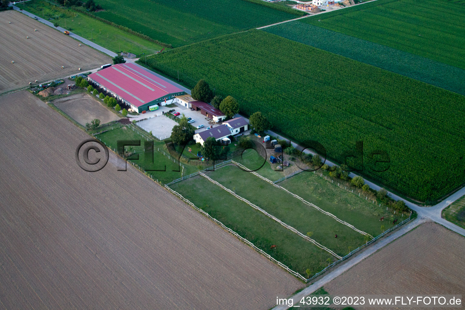 Steinweiler, Fohlenhof im Bundesland Rheinland-Pfalz, Deutschland von der Drohne aus gesehen