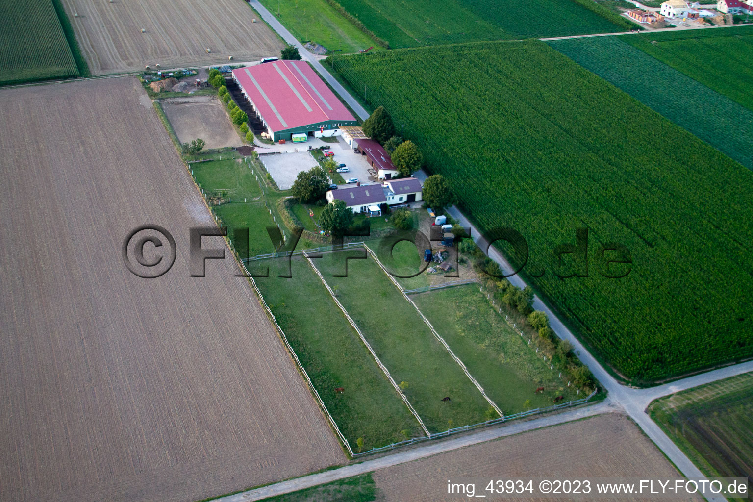 Luftaufnahme von Steinweiler, Fohlenhof im Bundesland Rheinland-Pfalz, Deutschland