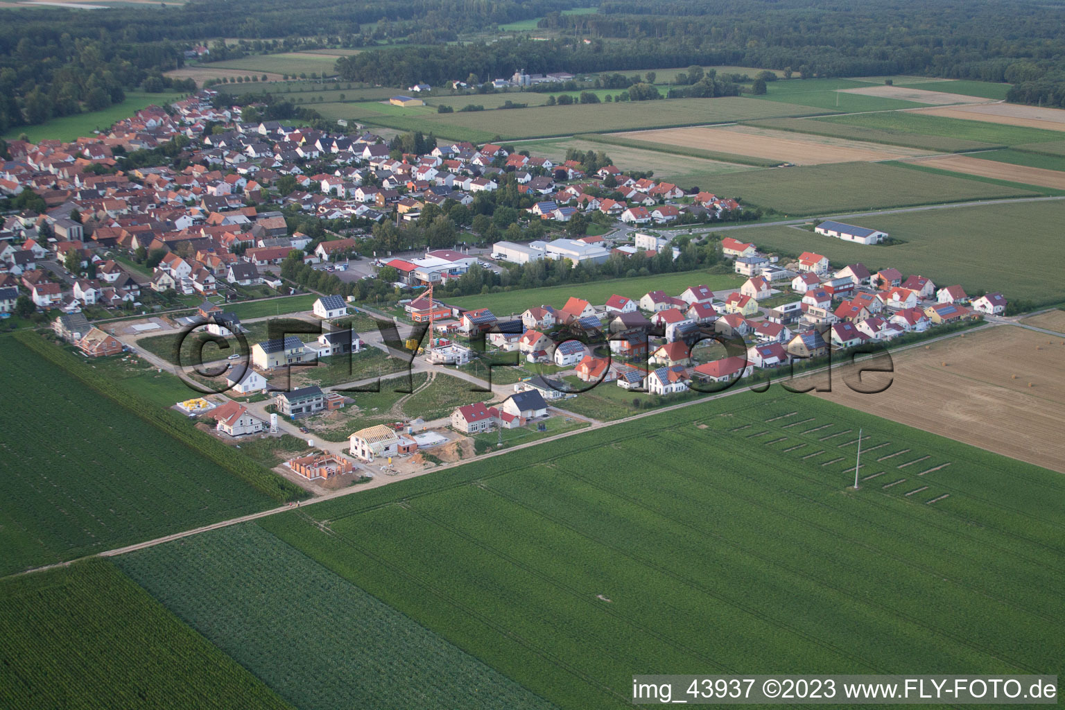 Steinweiler, Neubaugebiet Brotäcker im Bundesland Rheinland-Pfalz, Deutschland vom Flugzeug aus