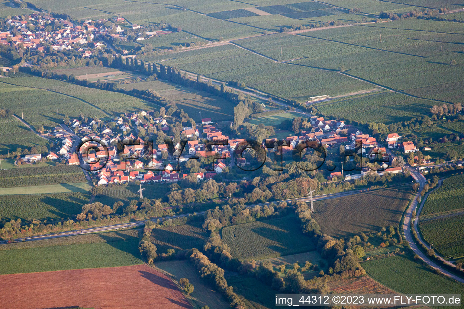 Essingen im Bundesland Rheinland-Pfalz, Deutschland aus der Luft