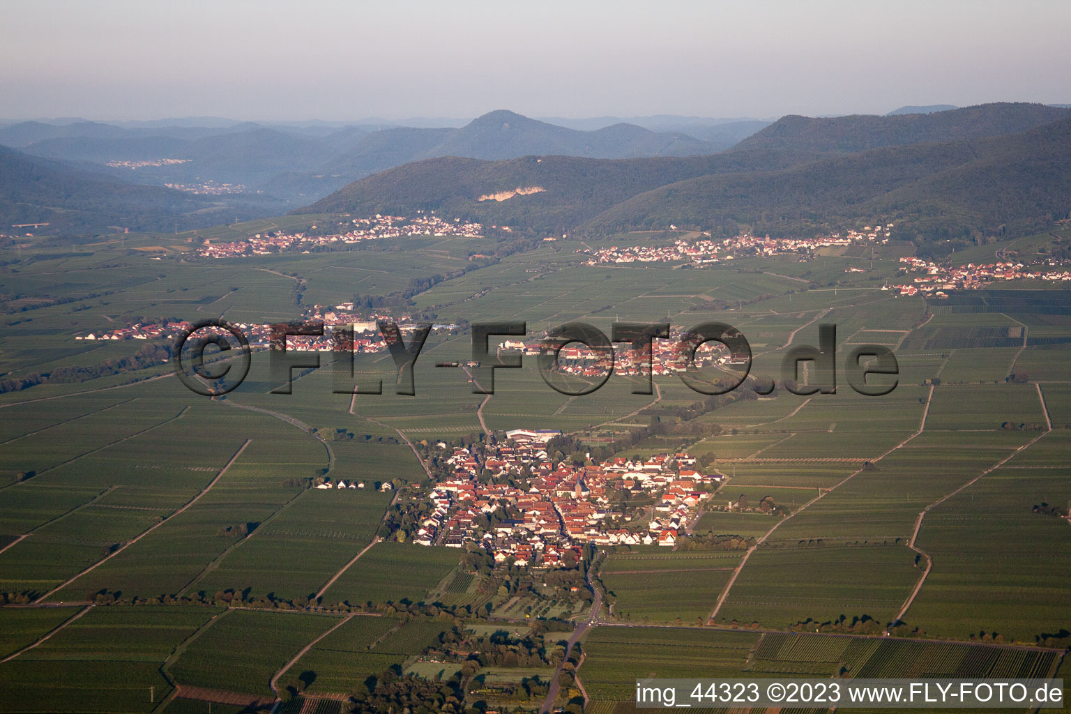 Luftbild von Edesheim im Bundesland Rheinland-Pfalz, Deutschland