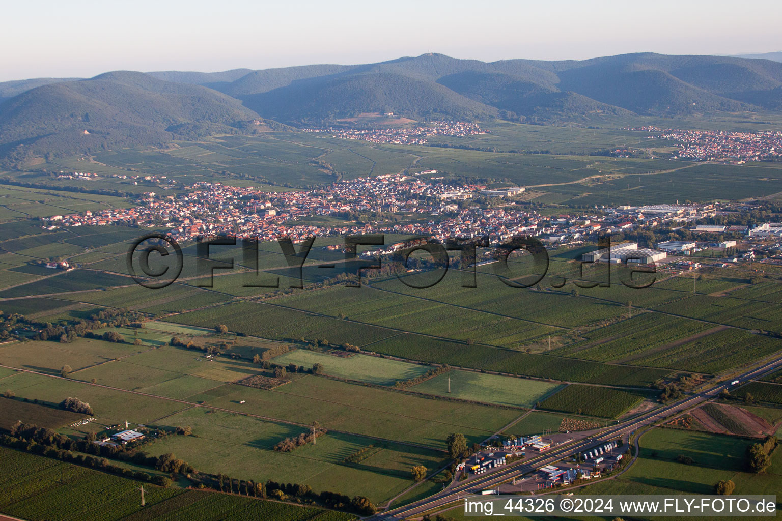 Luftbild von Dorf - Ansicht am Rande von landwirtschaftlichen Feldern und Nutzflächen in Edenkoben im Bundesland Rheinland-Pfalz, Deutschland