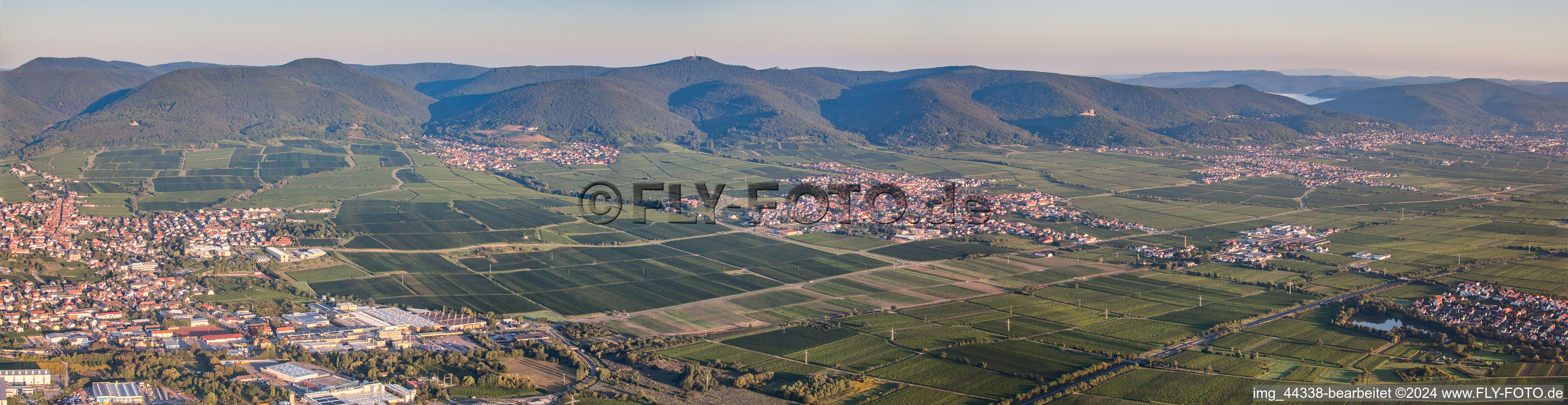 Panorama Perspektive Felder einer Weinbergs- Landschaft der Winzer- Gebiete in Maikammer im Bundesland Rheinland-Pfalz, Deutschland
