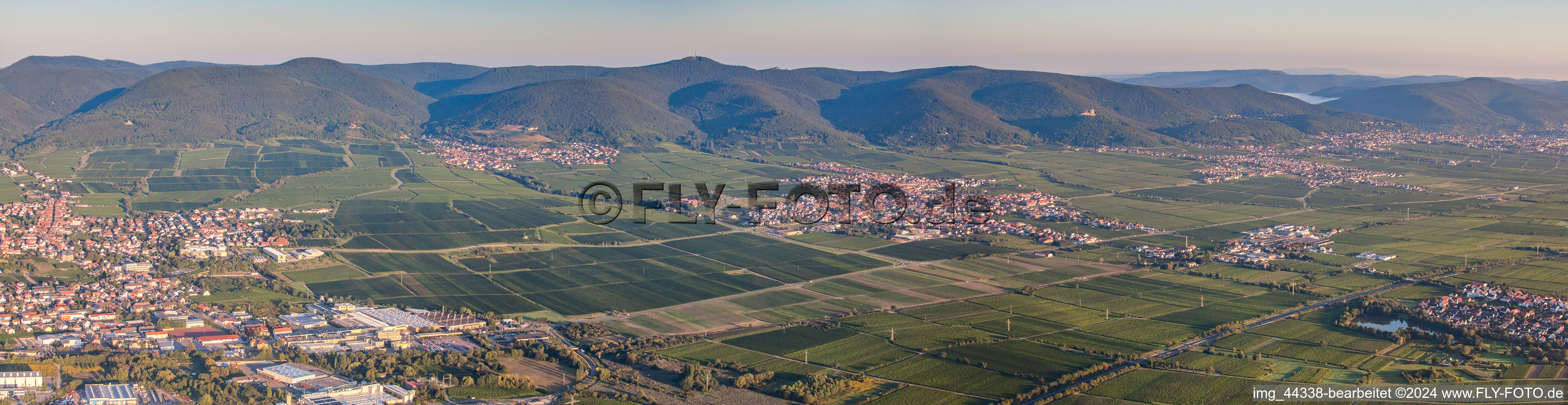 Panorama Perspektive Felder einer Weinbergs- Landschaft der Winzer- Gebiete in Maikammer im Bundesland Rheinland-Pfalz, Deutschland