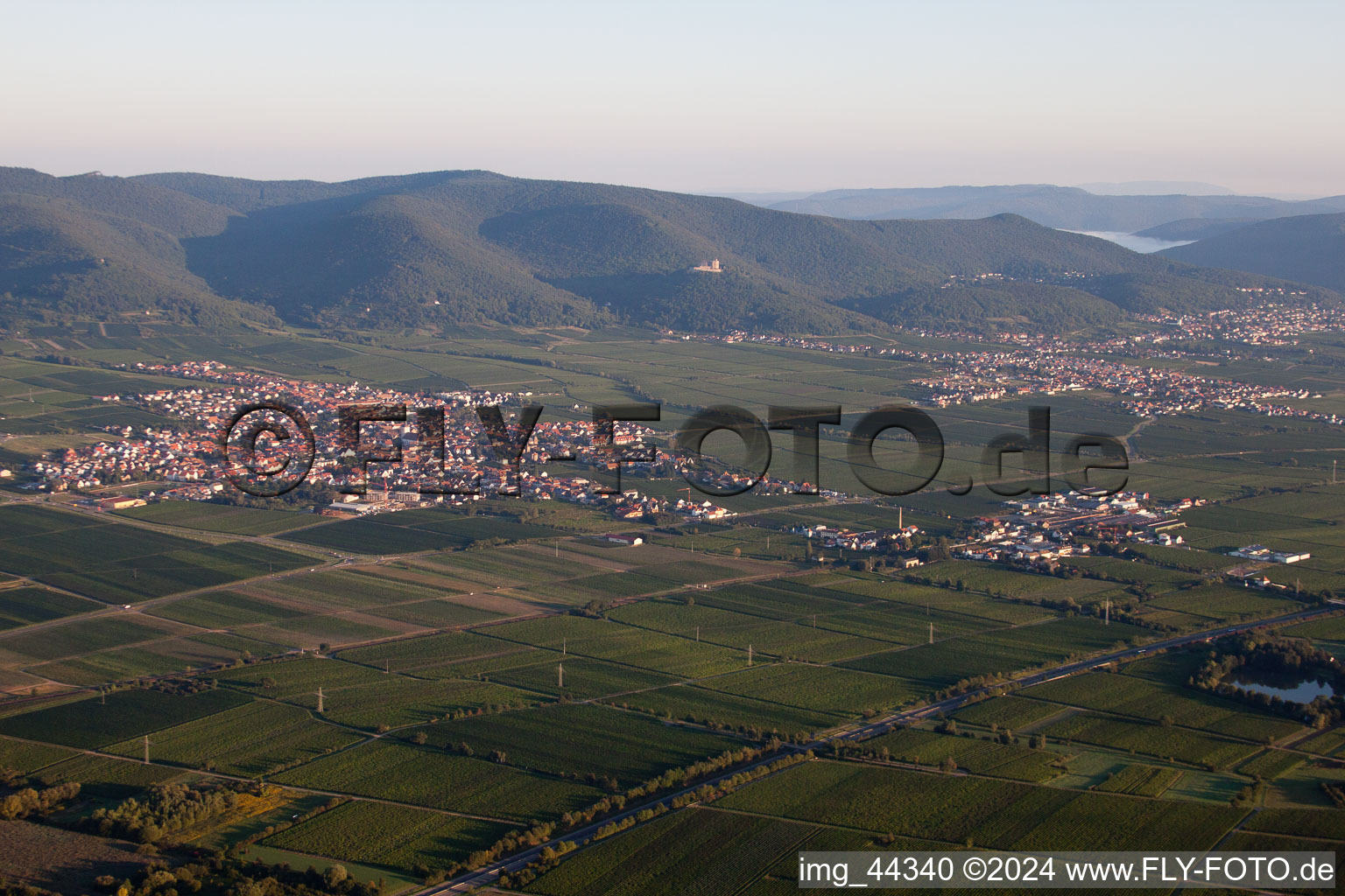 Dorf - Ansicht am Rande von Weinbergen in Maikammer im Bundesland Rheinland-Pfalz, Deutschland