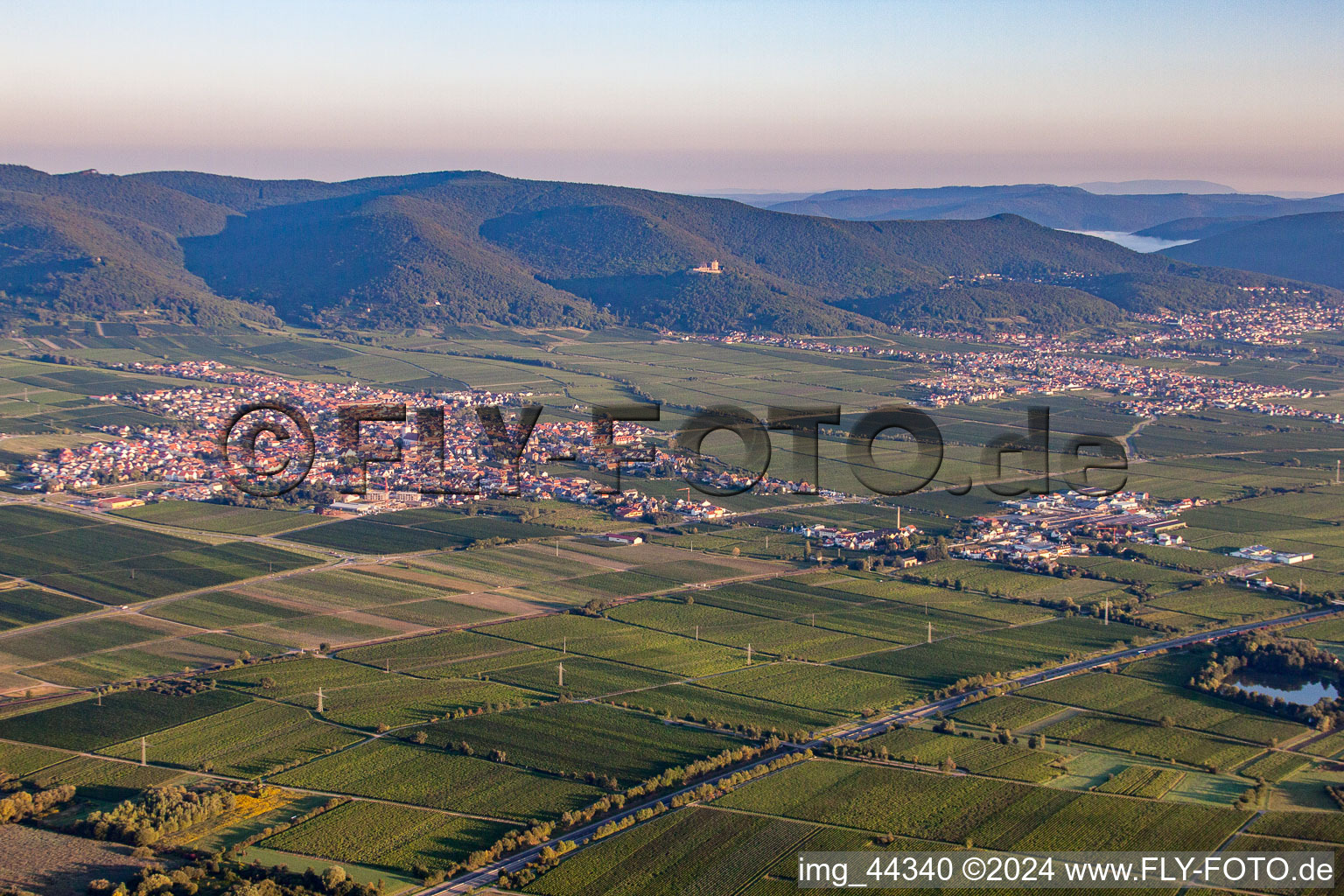 Dorf - Ansicht am Rande von Weinbergen in Maikammer im Bundesland Rheinland-Pfalz, Deutschland