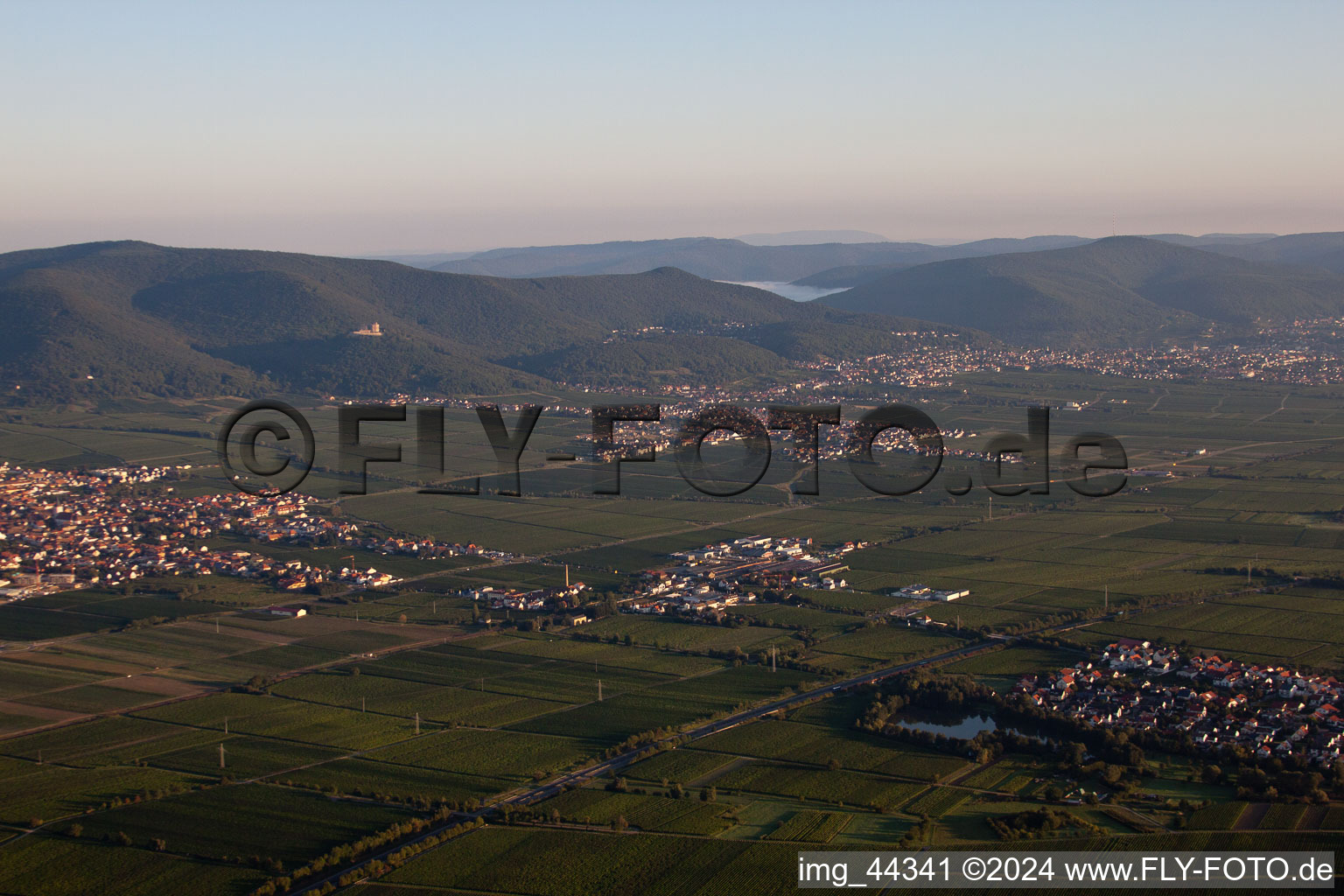 Kirrweiler im Bundesland Rheinland-Pfalz, Deutschland aus der Drohnenperspektive