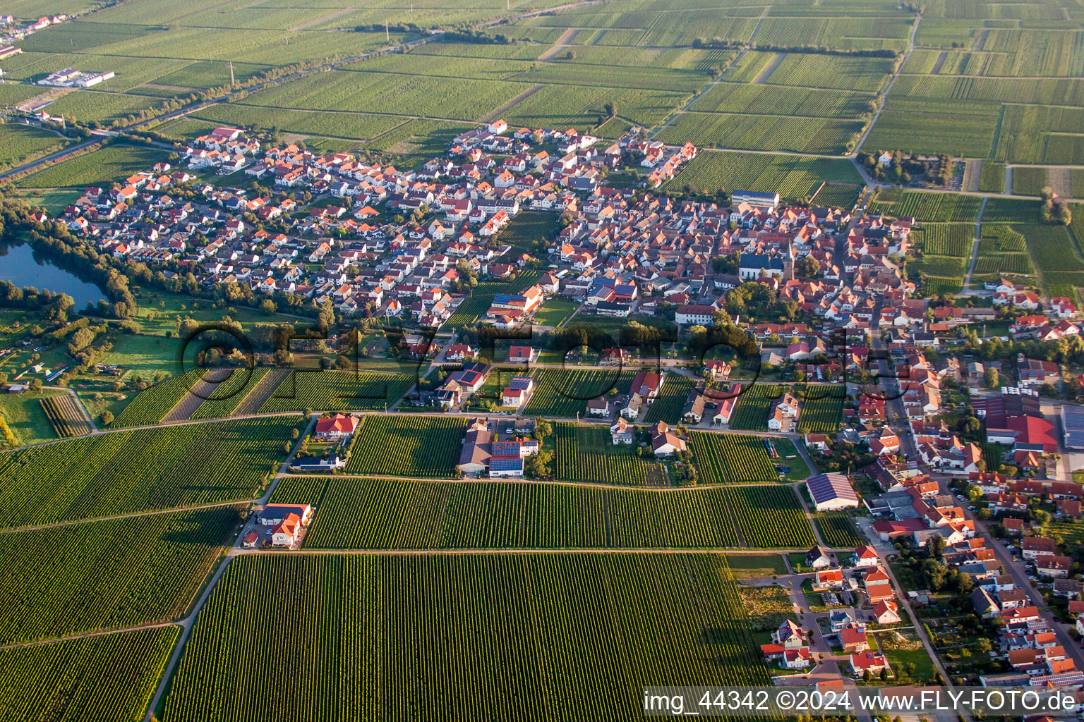 Dorf - Ansicht am Rande von landwirtschaftlichen Feldern und Nutzflächen in Kirrweiler (Pfalz) im Bundesland Rheinland-Pfalz, Deutschland aus der Luft