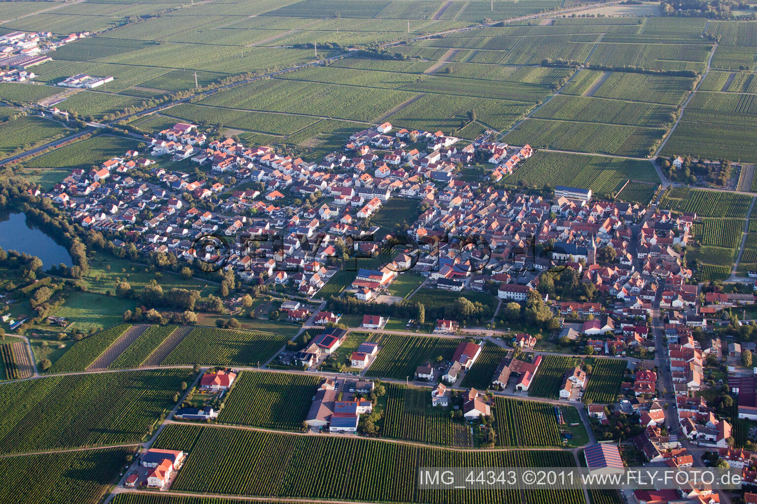 Kirrweiler im Bundesland Rheinland-Pfalz, Deutschland aus der Drohnenperspektive